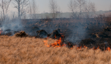 Hautes Fagnes en feu