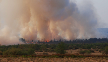 Incendie des Hautes Fagnes