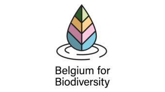 Logo du LIFE Belgium for Biodiversity