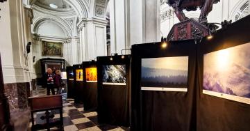 Les Expos photos nature - Aves
