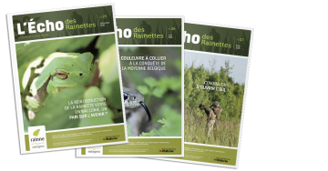 3 magazines "L'Echo des Rainettes"